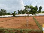 Land at Homagama for Sale