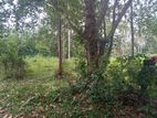 Land for Sale in Ihalagama