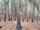 Land at Kithal Ella for Sale