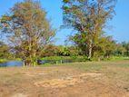 Land at Kurunegala- Ma Eliya - 16 P