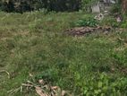 Land for Sale Thorayaya Kurunegala
