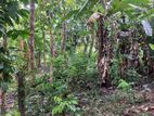 Land for Sale in Hakmana, Matara