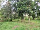 Land Block for Sale in Udugampola, Gampaha