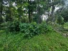 Land Block for Sale in Udugampola, Gampaha