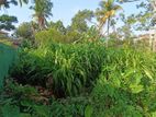 land blocks for sale alwis town near lyceum wattala