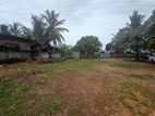 Land blocks for Sale at Raja Mawatha, Ekala, Ja-Ela.