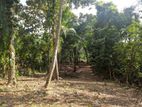 Land Blocks for Sale in Galahitiyawa, Ganemulla.