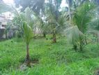 Land Blocks for Sale in Mahajana Mw, Belummahara, Gampaha