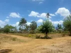 Land Blocks for Sale in Tangalle Vitharanadeniya