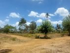 Land Blocks for Sale in Tangalle Vitharanadeniya