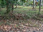 Land Blocks for Sale Negombo – Mirigama Main Bus Route