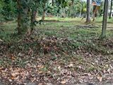 Land Blocks for Sale Negombo – Mirigama Main Bus Route