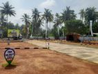 Land Blocks In Wadduwa, Thalpitiya R03