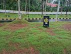 Land Close to Homagama