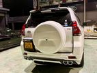 Land Cruiser Prado 150 Back Door Set