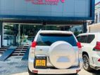 Land Cruiser Prado 150 TX Back Door Set
