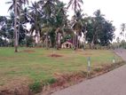 Land Diulapitiya for Sale