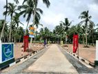 Land - Divulapitiya (Naiwela)