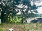 Land Facing Paddy Field for Sale in Thalawathugoda