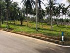 Land ffor sale in Homagama Thalagala