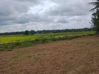land fir sale in anuradhapura nachchaduwa