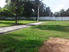 Land Fo Sale in Horana