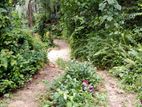 Land for Sale Weeragalla