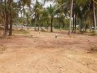 Land foor sale in Pannala