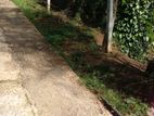 Land For Ambathenna-Kudugala