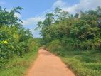 Land for Cultivation Yatawara, Kalutara. ( ID : YTWR001 )