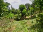 Land for Sale Wathuwala Katugasthota