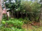 Land for Immediate sale in Battaramulla