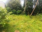 Land for Immediate sale in Battaramulla