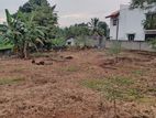 Land for Immediate Sale in Pannipitiya