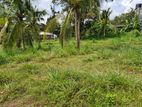 Land for Immediate Sale in Piliyandala