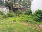 Land for Immediate Sale in Thalawathugoda