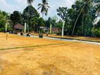 Land For In Ja-Ela - ජාඇල Town