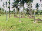 Land For In Pothuhera