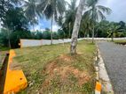 🏡 Land for Investment in Panagoda – High Value