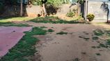 Land for Lease – Colombo–Negombo Main Road Highway Peliyagoda