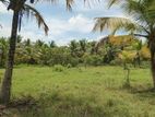 Land For Lease Awulegama