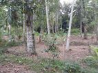 Land for Lease Gampaha