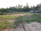 Land for Lease in Ahangama, Galle