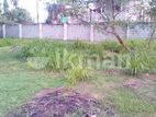 Land For Lease in Gampaha Town
