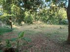 Land for Lease in Kadawata
