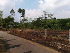 Land for Lease in Pitipana - Thalagala Road