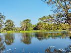 Land for Live at Kurunegala