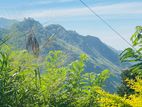 Land For Long Term Rent with Half Finished Villa