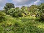 Land for Sale Kaduwela