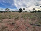 Land for Sale Vavuniya